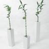 Blumenvasen
